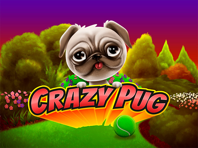 Crazy Pug Slots (Swintt)