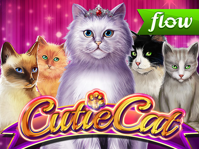 Cutie Cat Slots  (GamomatGames)