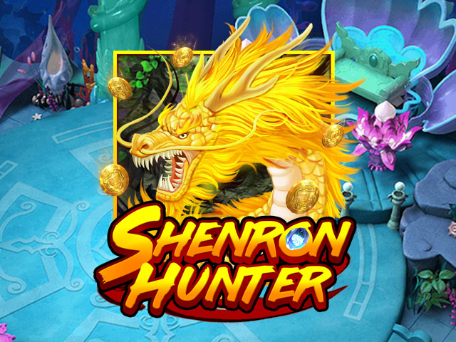 Shenron Hunter Arcades  (Kaga)
