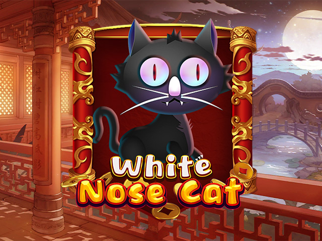 White Nose Cat Slots  (Kaga)