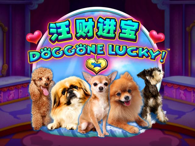 Doggone Lucky Slots  (CQ9)