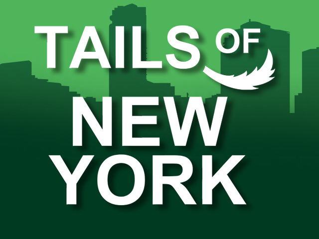Tails Of New York Slots  (Genii)