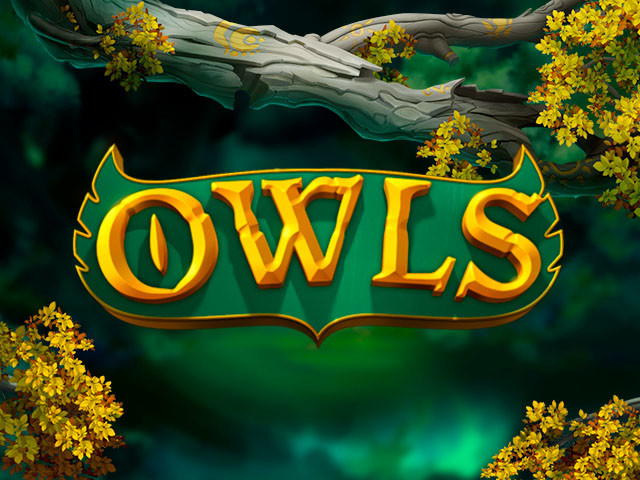 Owls Slots  (Nolimit City)