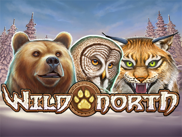 Wild North Slots  (Play'n GO)