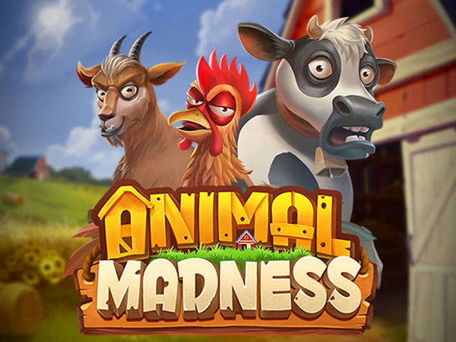 Animal Madness Slots  (Play'n GO)