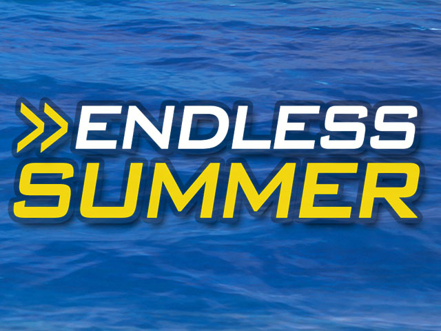 Endless Summer Slots  (Merkur)