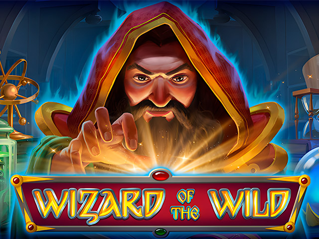 Wizard of the Wild Slots  (Platipus)