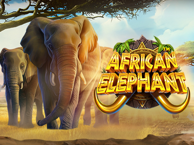 African Elephant Slots (Pragmatic Play)