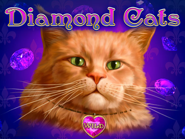 Diamond Cats Slots  (Amatic)
