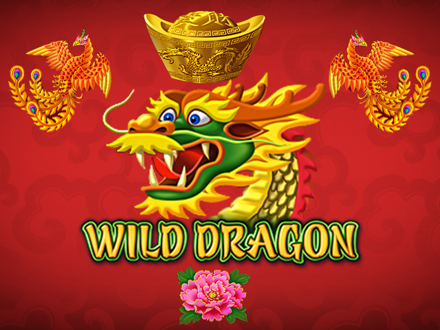 Wild Dragon Slots  (Amatic)