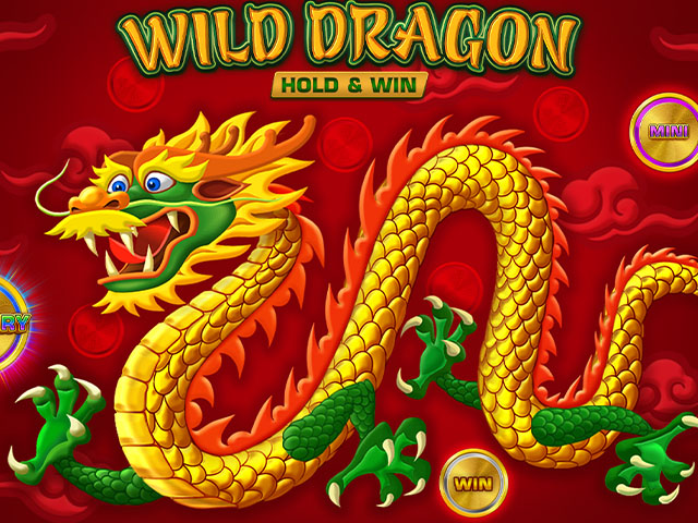 Wild Dragon HOLD&WIN Slots  (Amatic)
