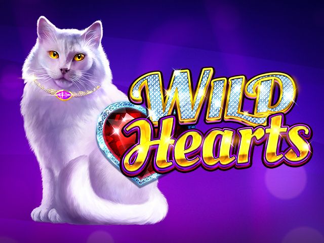 Wild Hearts Slots  (Amatic)