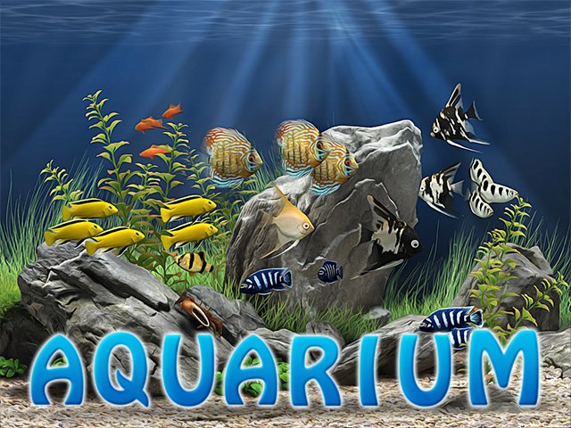 Aquarium HD Slots  (WorldMatch)
